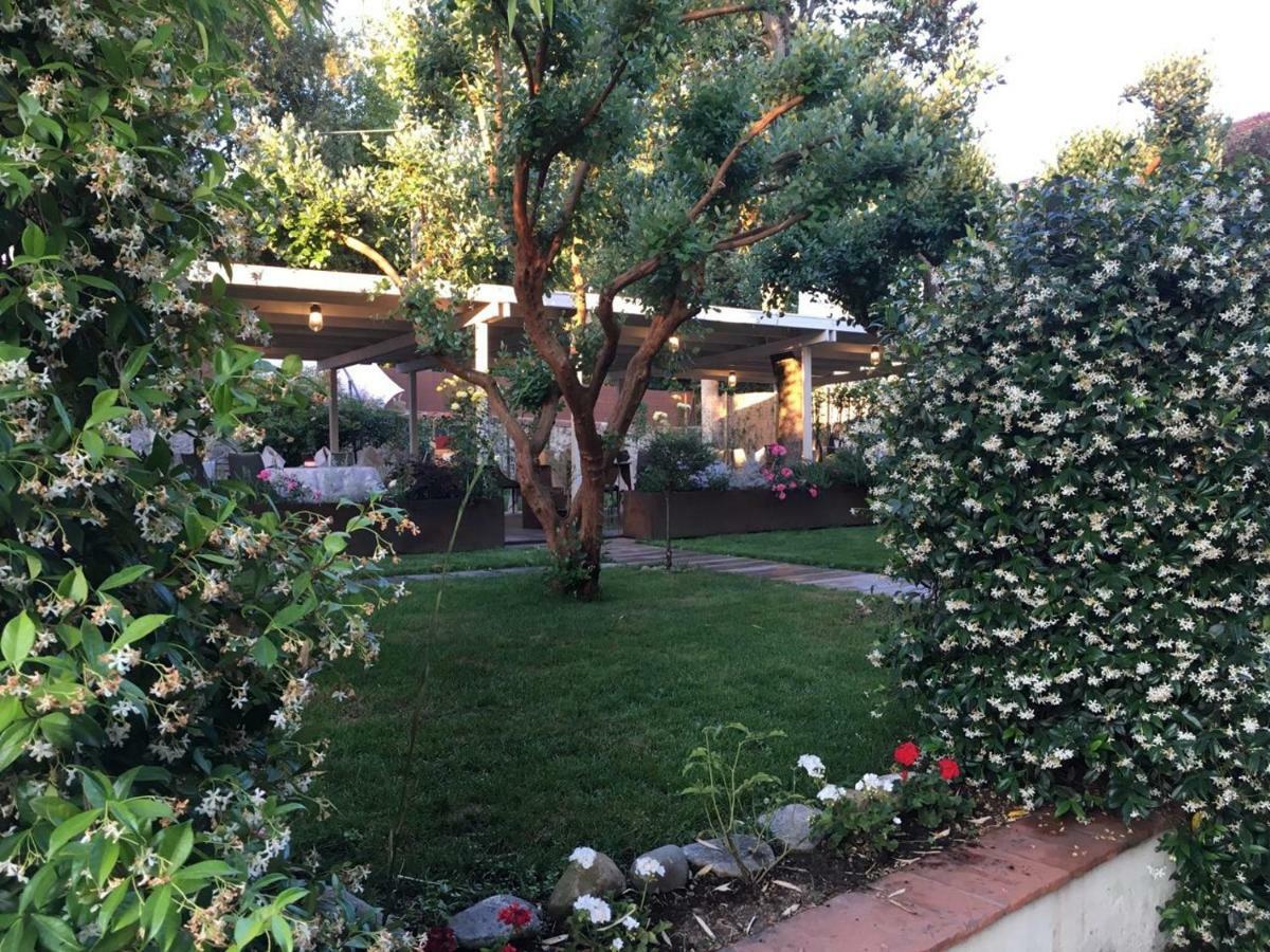 Locanda Del Pesce Briaco, B&B Lucca Eksteriør bilde